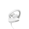 Beats Powerbeats2 Wireless