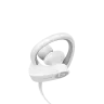 Beats Powerbeats2 Wireless